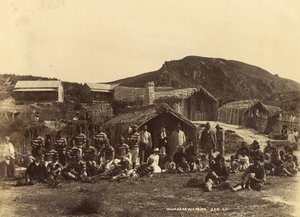 Whakerewarewa ، 1889 أو 1890 (طبعة زلال)